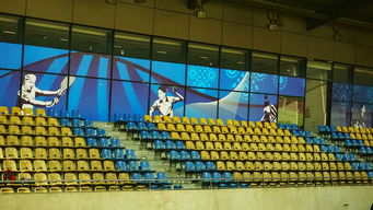 米兰体育官网首页-澳大利亚队未来如何利用青训体系打造新一代乒乓巨星，澳大利亚乒乓球